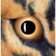 peluche léopard 110 cm géant xxl