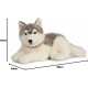 peluche geante chien husky